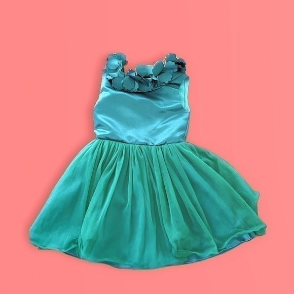 Trish Skully Size 4 Girls Dress - Picture 3 of 4